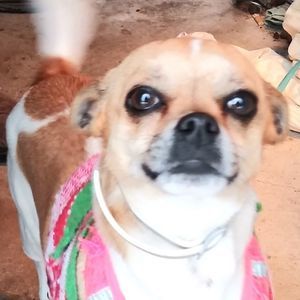 Meet your Posher, Crystal